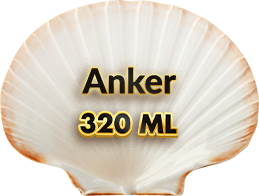 Anker 320
